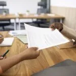 Rental Laws