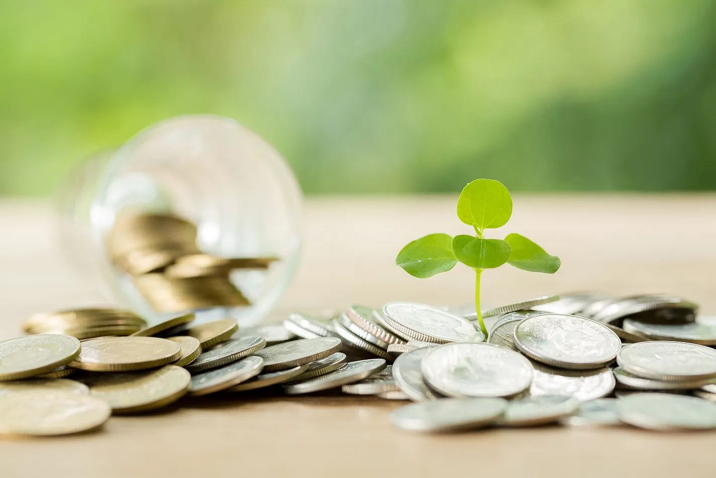 Investments 2025